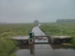 Op het laatste stuk van de wandeling kwamen we langs dit mooie dammetje.