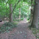 Een leuk paadje door het bos in Wassenaar.