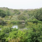 Hoe mooi het duingebied is, zie je op deze foto.