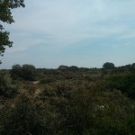 Hoe mooi het duingebied is, zie je op deze foto.