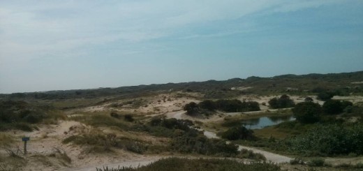 Hoe mooi het duingebied is, zie je op deze foto.
