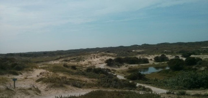 Hoe mooi het duingebied is, zie je op deze foto.