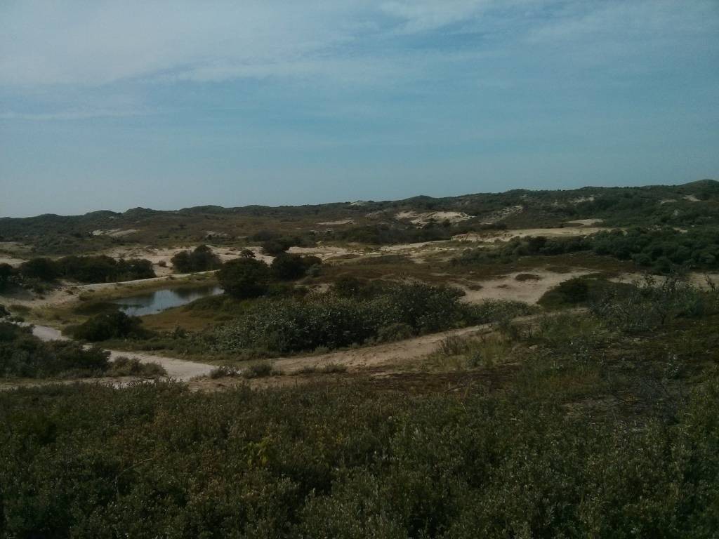 Hoe mooi het duingebied is, zie je op deze foto.