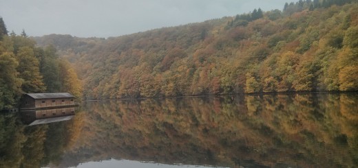 Barrage de Nisramont