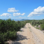 Leuk paadje op het eiland Pasman