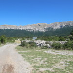 Uitzicht op hoogvlakte Rujno