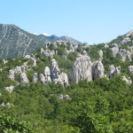 Leuk uitzicht op hoogvlakte Rujno