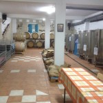 Wijnboerderij Mas Vin