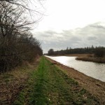 Een leuk paadje in het Horsterwold