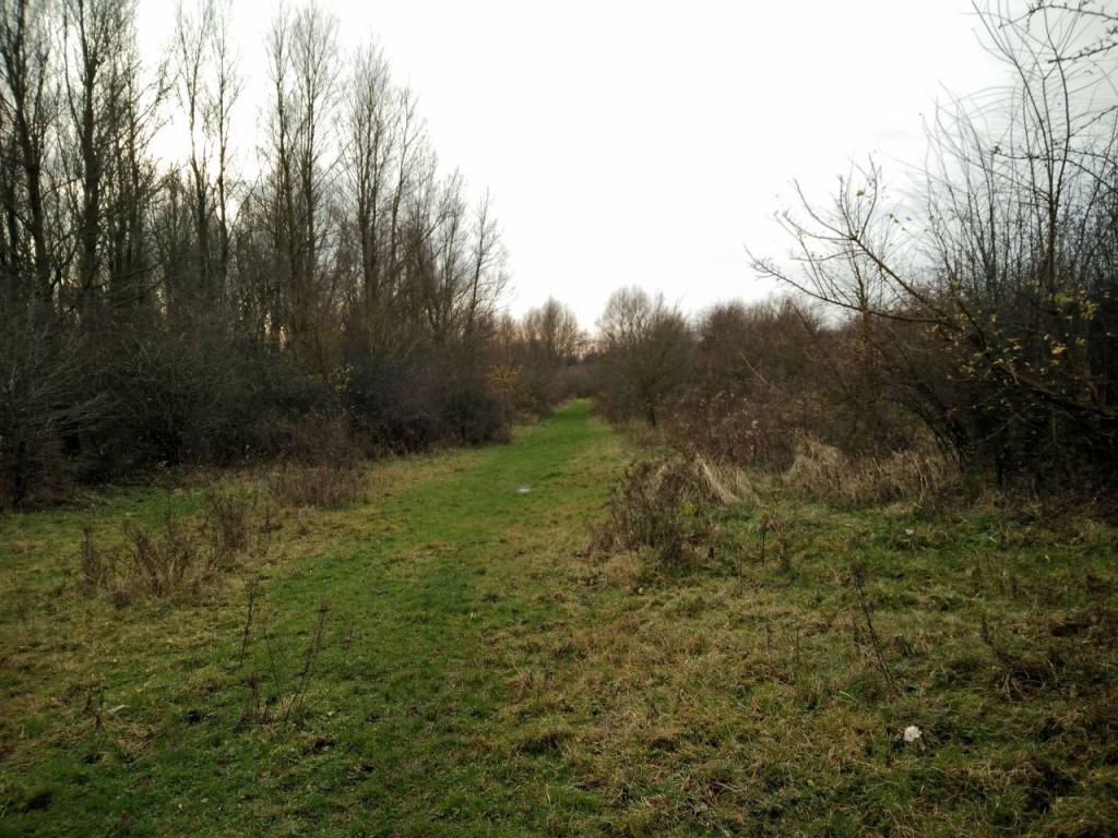 Een leuk paadje in het Horsterwold