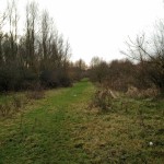 Een leuk paadje in het Horsterwold
