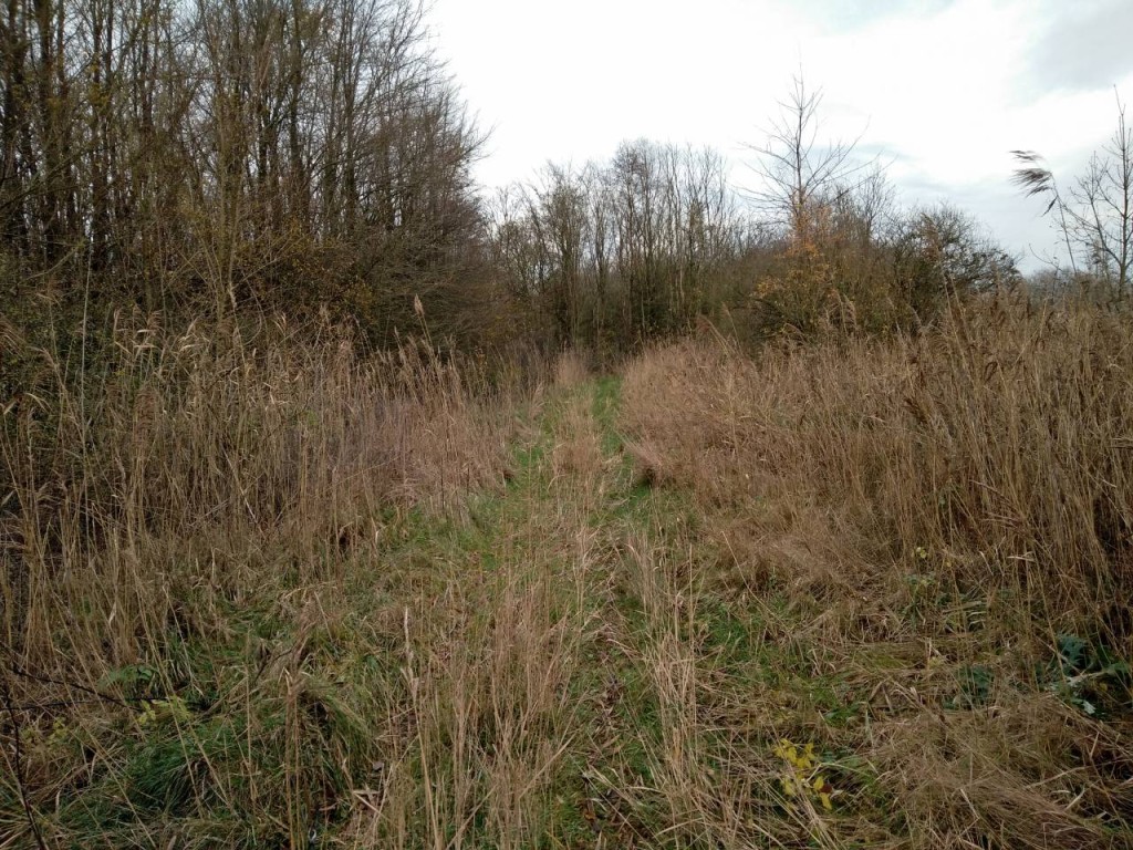 Een leuk paadje in het Horsterwold