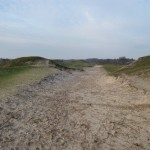 De overgang tussen de Zeepeduinen en de Boswachterij Westerschouwen is zeer fraai.