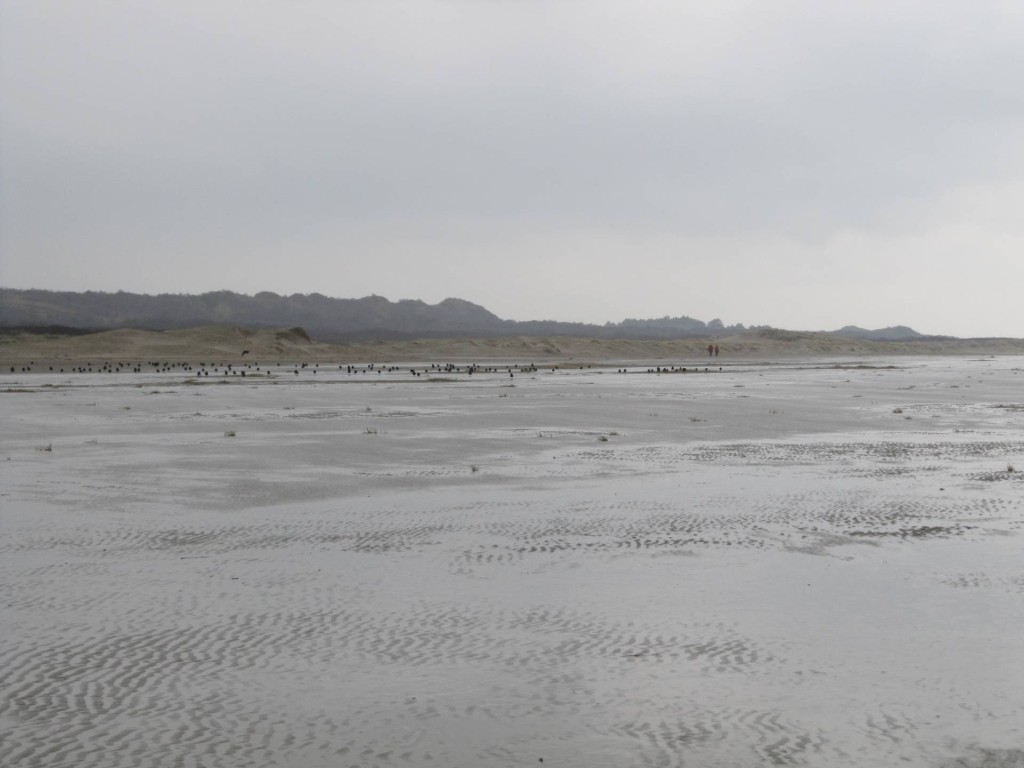 Voorbij Renesse vind je dit hele brede strand.