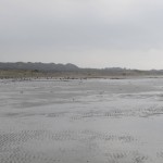 Voorbij Renesse vind je dit hele brede strand.