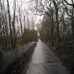 Dit is gewoon een mooi straatje waar onze wandeling overheen liep.