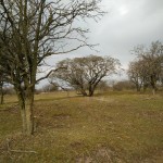 Gedurende wandeling hadden wij regelmatig dit soort fraaie en mooie uitzichten.