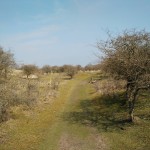 Dit was een heel fraai graspad met hele fraaie uitzichten aan alle kanten.