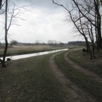 Vanuit het bos weer de vlakte op.