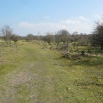 Dit was een heel fraai graspad met hele fraaie uitzichten aan alle kanten.