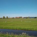 Op Marken zijn ook een aantal terpen, hoger gelegen stukken land, waarop heel wat huisjes gebouwd zijn. Deze worden ook wel werven genoemd.