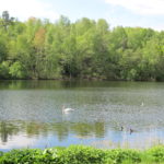 Tijdens onze fietstocht kwamen wij heel wat mooie natuur tegen. Dit is een goed voorbeeld.