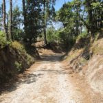 Een leuk weggetje waar je over heen komt tijdens het wandelen van de rode stippen wandeling vanaf Camping Toca Da Raposa.