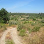 Een leuk weggetje waar je over heen komt tijdens het wandelen van de rode stippen wandeling vanaf Camping Toca Da Raposa.