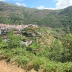 In dit gedeelte van Portugal wordt heel veel gras geteeld via terrasbouw.