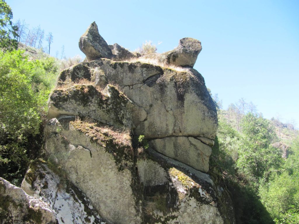 Halverwege de wandeling konden wij deze duivelsoren bewonderen.