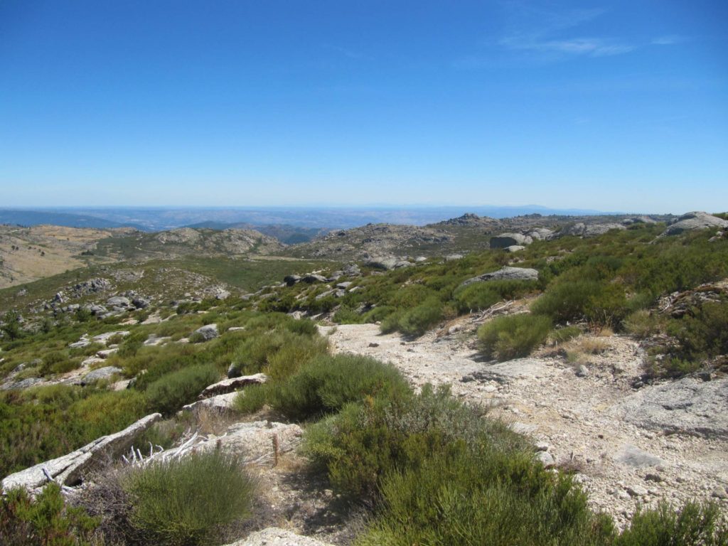Tijdens de wandeling hadden we constant last van dit mooie uitzicht.