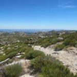 Tijdens de wandeling hadden we constant last van dit mooie uitzicht.