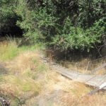 Halverwege de wandeling zagen we deze kapotte brug, maar we moesten wel aan de overkant van het stroompje zijn, dus maar overgestoken via laag water en heel veel steentjes.