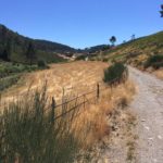 Een leuk weggetje waar je over heen komt tijdens de wandeling.