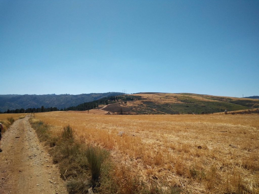 Een leuk weggetje waar je over heen komt tijdens de wandeling.