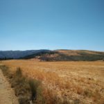 Een leuk weggetje waar je over heen komt tijdens de wandeling.