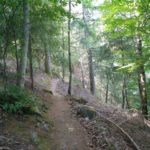 Op weg naar de waterval Poco do Inferno, kwamen wij over dit leuke bospaadje.