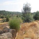 Een mooi uitzicht tijdens het wandelen van de blauwe stippen wandeling vanaf Camping Toca Da Raposa.