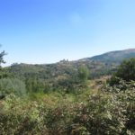 Een mooi uitzicht op Linhares. In het midden van de foto zie je het kasteel.