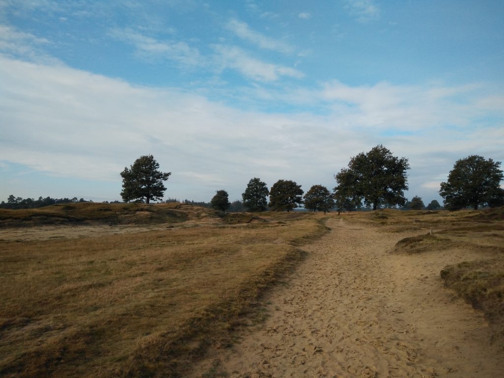 Op een gegeven moment kwamen wij ook nog over dit stuk fraaie heide.