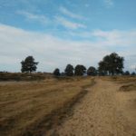 Op een gegeven moment kwamen wij ook nog over dit stuk fraaie heide.