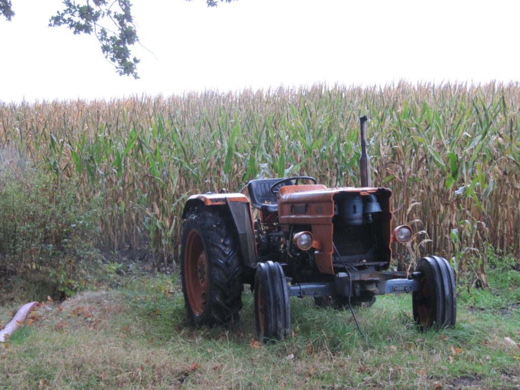 Bijna op het einde van de wandeling zagen wij deze traktor in het maisveld staan.