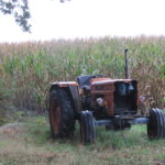 Bijna op het einde van de wandeling zagen wij deze traktor in het maisveld staan.