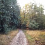 Over dit fraaie bospaadje liepen wij al vrij snel na de start van de wandeling.