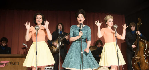 TV Serie : Petticoat