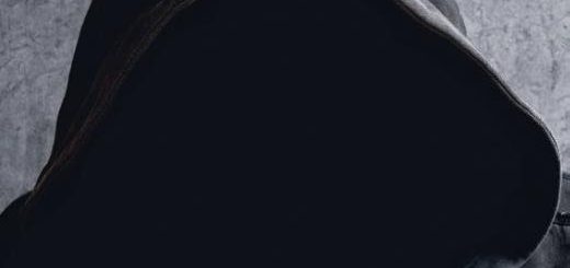 Boek : Greet Ilegems - Hybrid; De Nieuwe Wereld