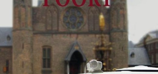Boek : Theo Akse - De Zesde Poort