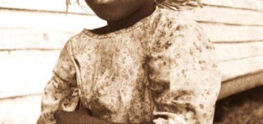 Sue Monk Kidd - Witte Vleugels Zwarte Vleugels