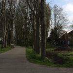 Dit is het gehucht Baarlo dat dicht bij Blokzijl ligt.