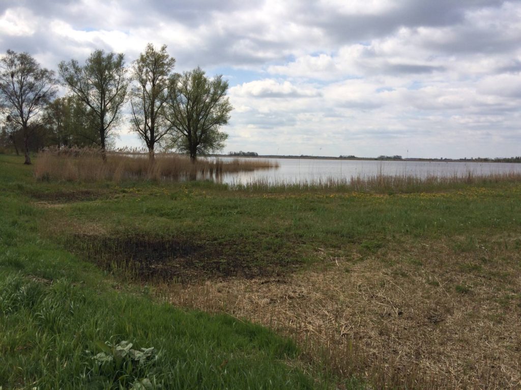 Dit is het Giethoornsche meer. Een heel fraai meer waar de wandeling best wel lang langs liep.